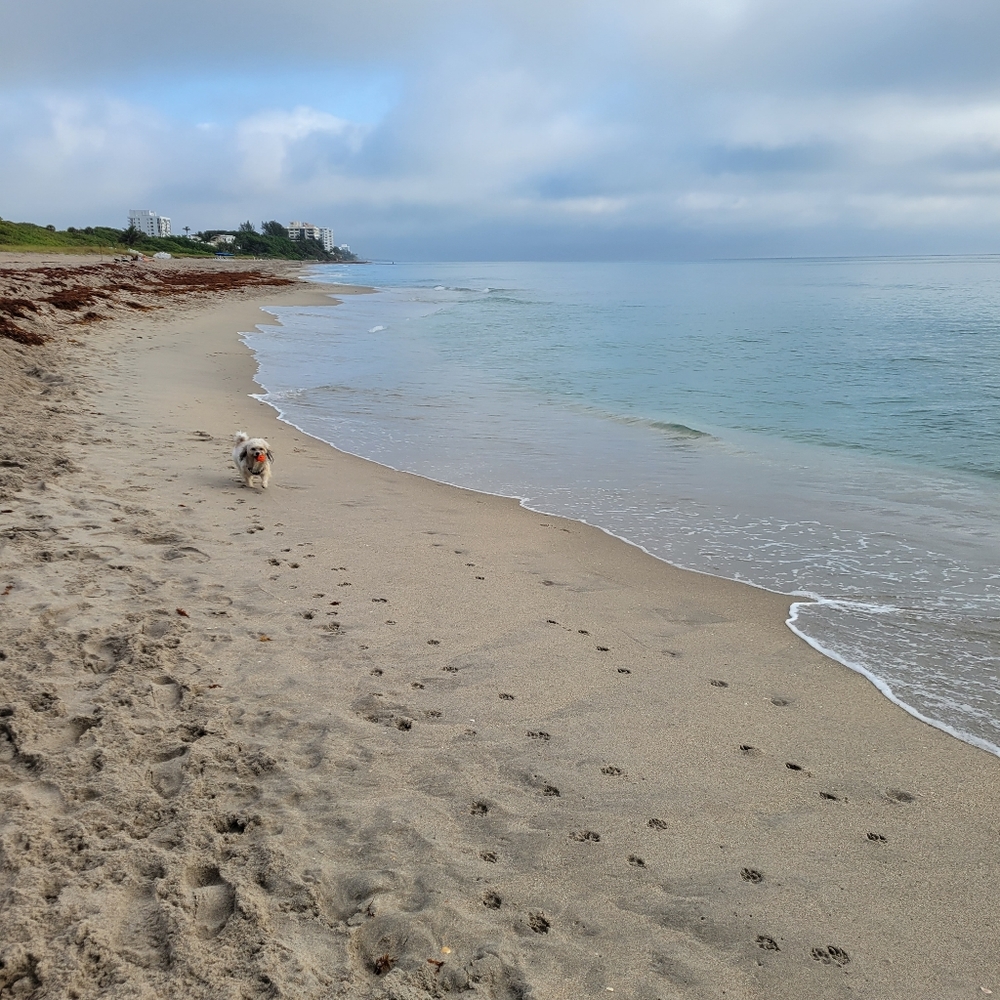 I'm selling  gently used or like new name brand clothes, shoes and handbags.